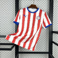 Paraguay Homekit 2026/2027